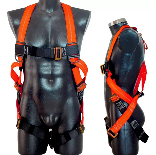 Arnes cuerpo completo 3 aros - Image 2