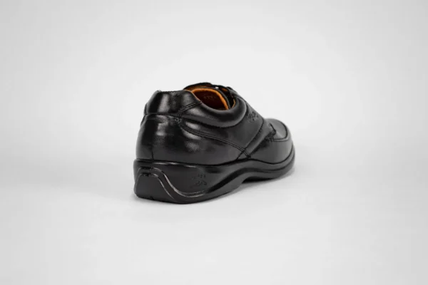 KA.99 1082 BORREGO - Image 2